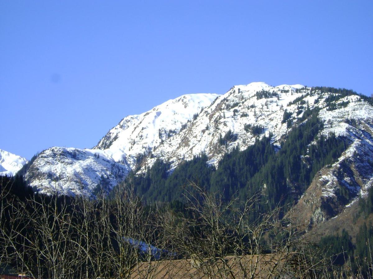 Ferienwohnung Fred Hollersbach im Pinzgau Exterior foto